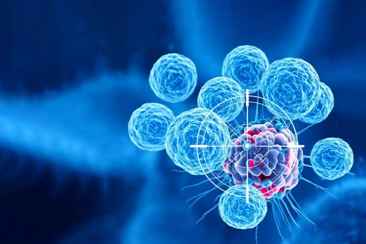 Abbraccio e oncologia: dove conta davvero